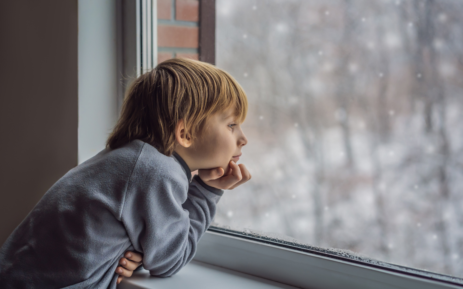 Is Indoor Air Quality Worse Than Outdoor Air Quality?