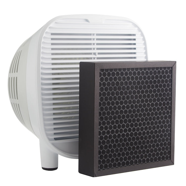 Do Air Purifiers Remove Bad Odors: Proven Ways to Freshen Air