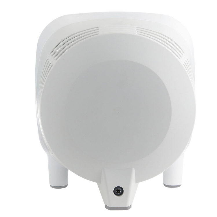 TrueCarbon™ 200C Air Purifier 2-Pack