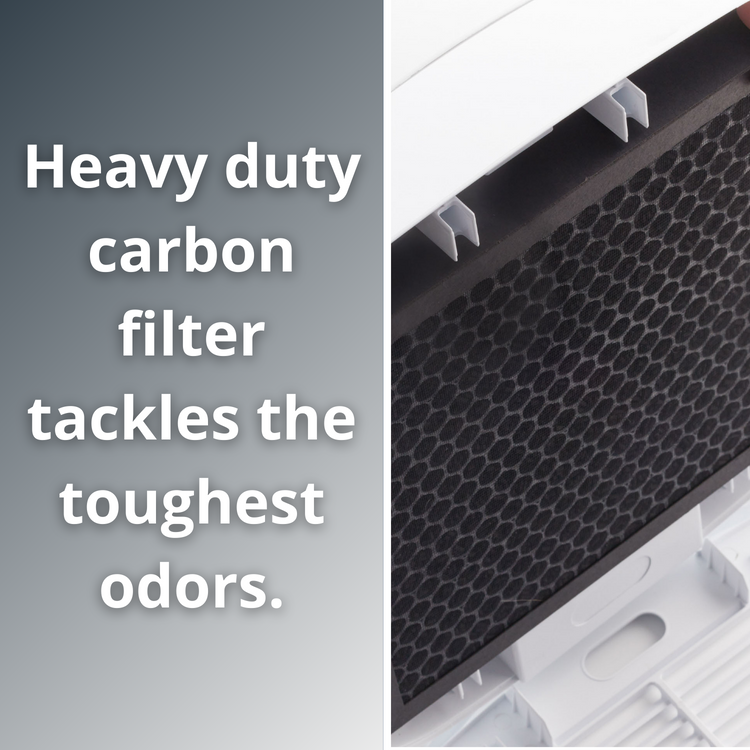 TrueCarbon™ 150C Air Purifier