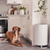 dog in a kitchen next to air purifier for pets dog in a kitchen next to air purifier for pets