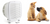 cat and dog next to an air purifier for pets cat and dog next to an air purifier for pets