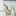 Indoor pet bird - bird dander air purifier for feather dust