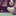 Close up of a runner tying their shoe