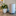 Oransi mod next to a house plant