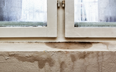 Types of Household Mold