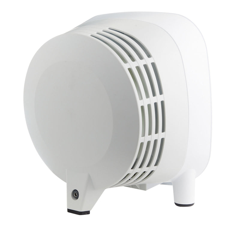 TrueCarbon™ 150C Air Purifier