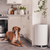 dog in a kitchen next to air purifier for pets